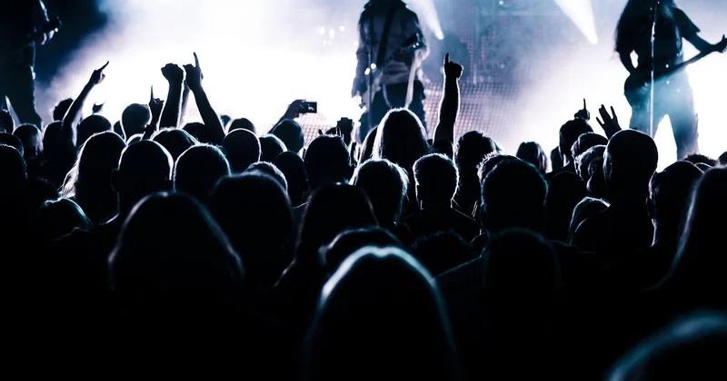 L'idée reçue d'un public rock forcément monétisable